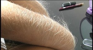 Hairy Arms invites you to browse their xxx photos with Lori Anderson xxx gallery 148485